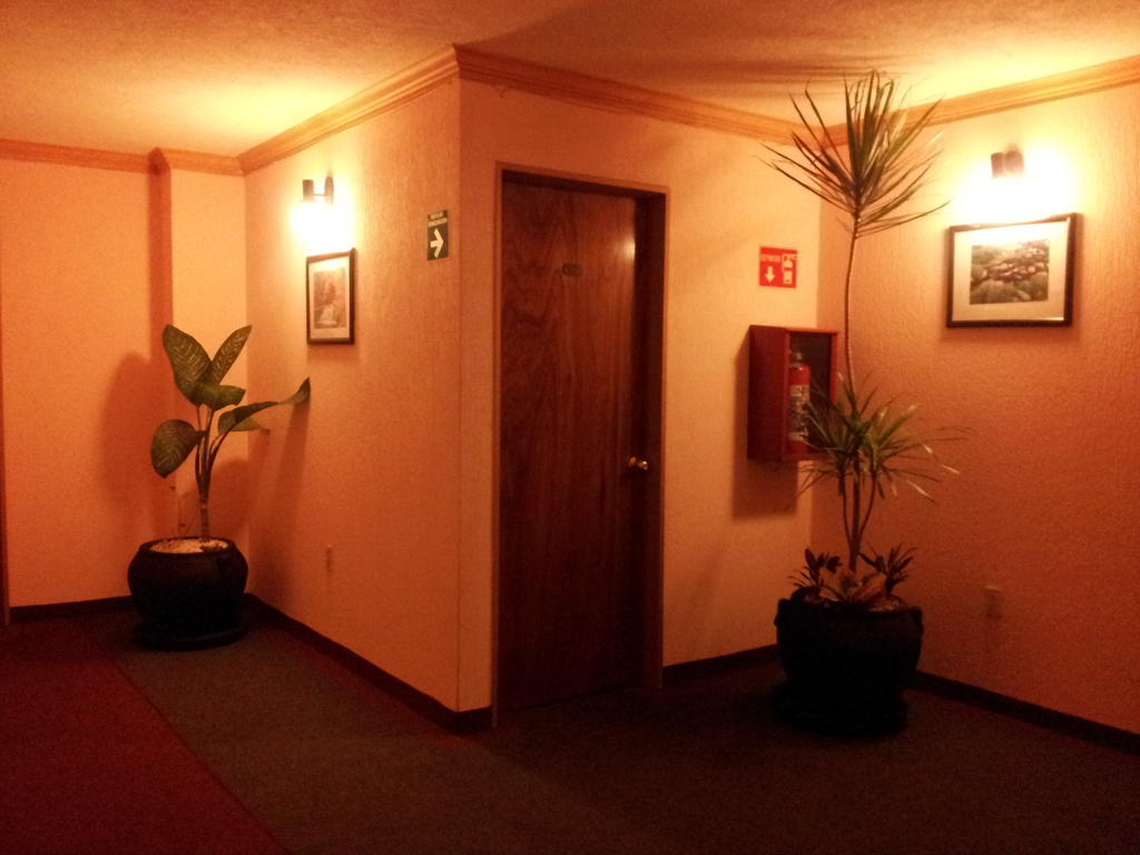 Hotel Siesta Del Sur Mexico City Ngoại thất bức ảnh